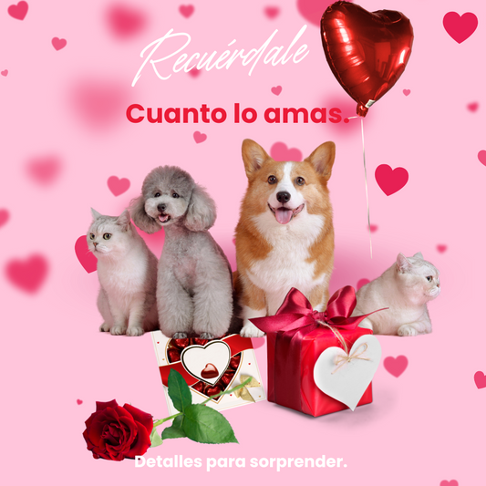 Tarjetas regalo para mascotas- Cali