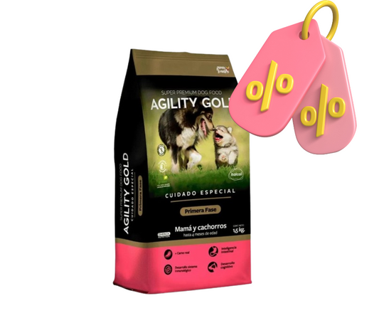 Agility Gold cachorros primera fase