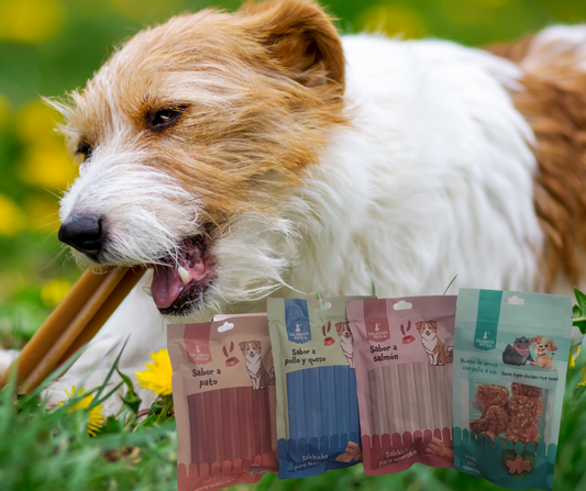 Paquetes de snacks Deliciosos y nutritivos para perros - bolsa * 4 paquetes