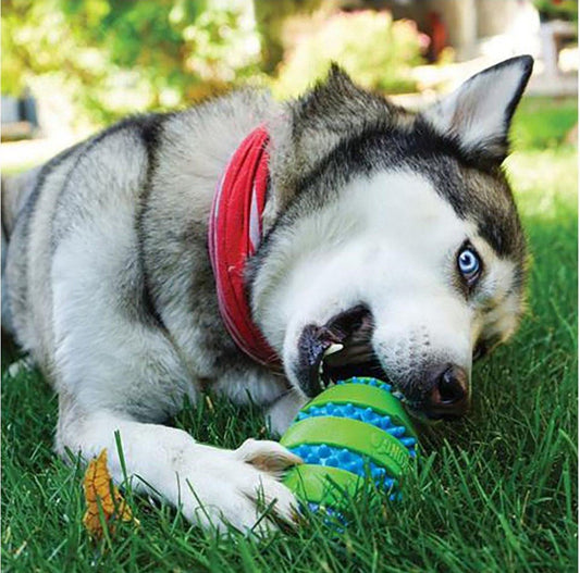 Juguete-Pelota Kong perros -  Squeez Goomz