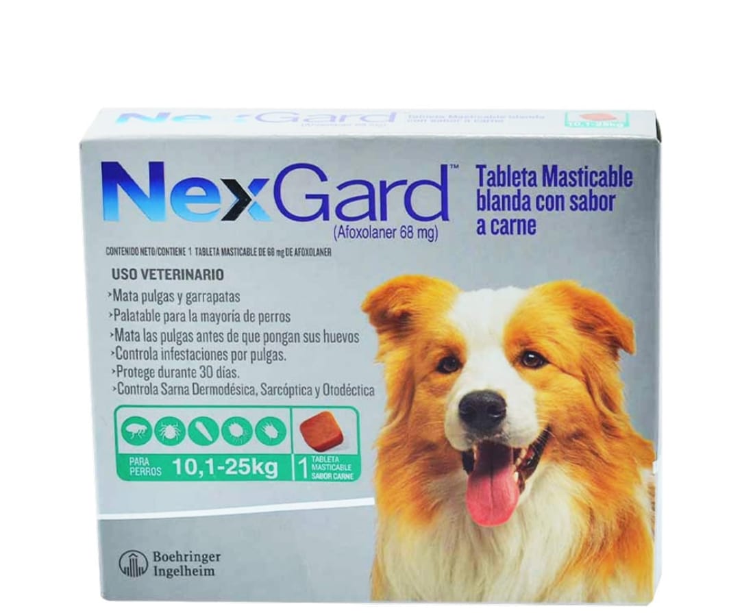 Nexgard perros desparasitante de pulgas y garrapatas