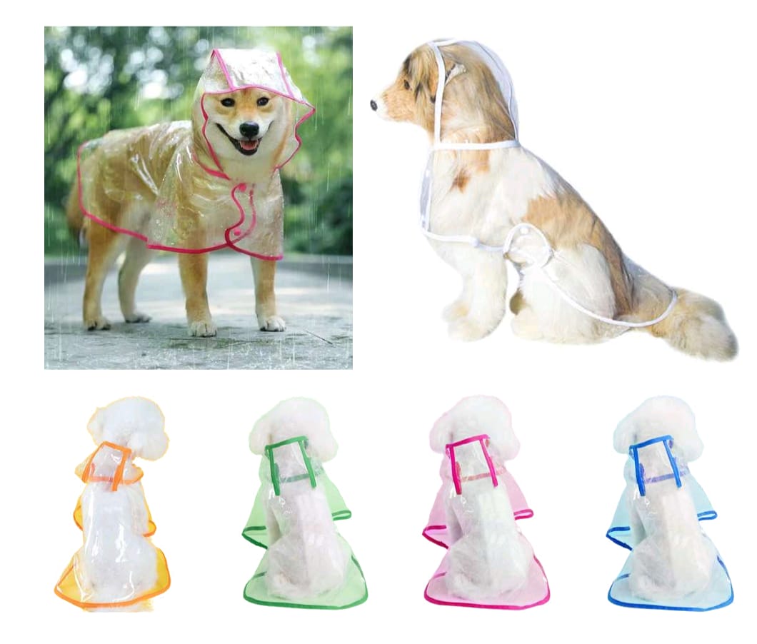 Impermeable transparente con borde de color para perro