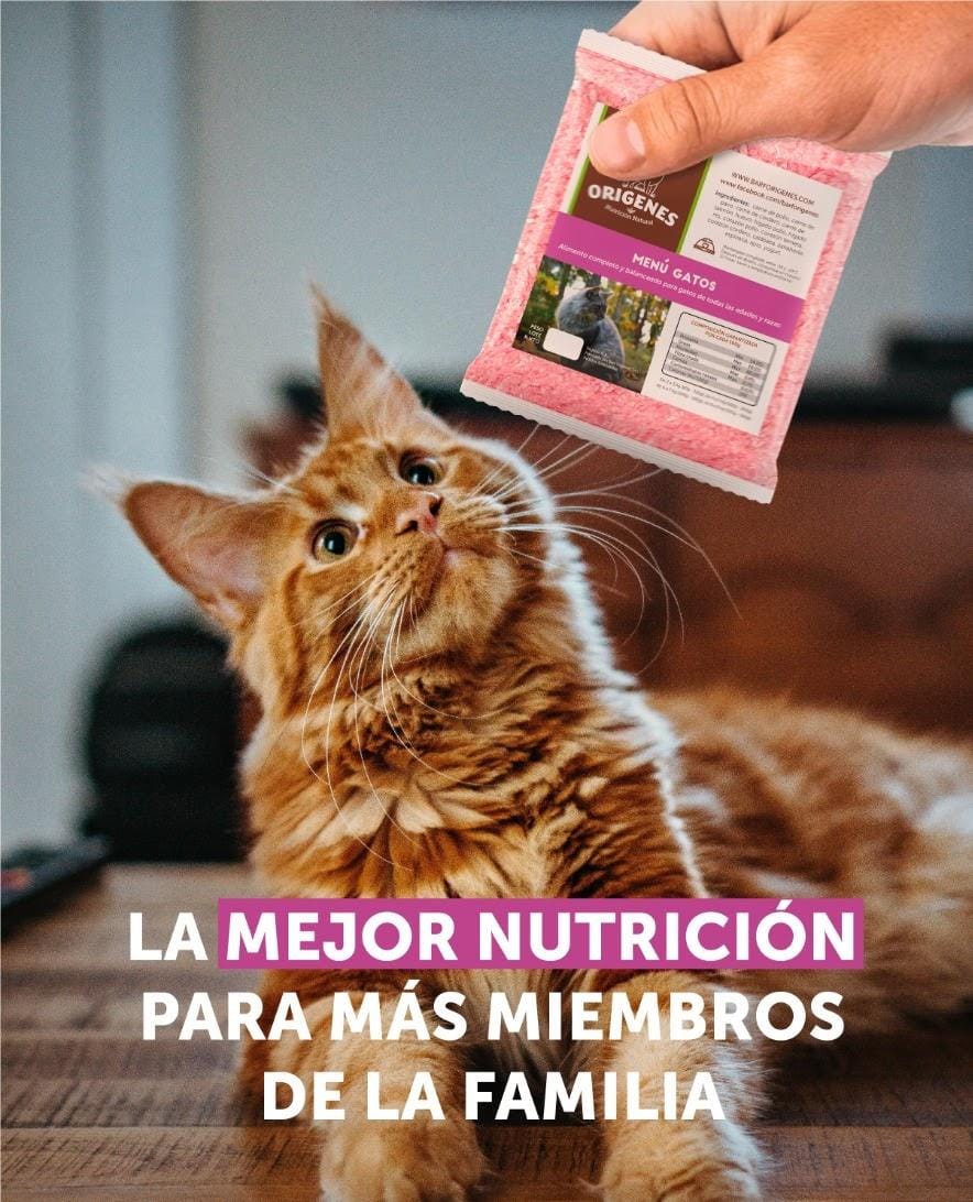 BARF Orígenes menú gatos 5 unid * 200gr